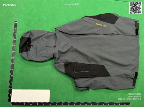 [QC] Arc’teryx x Palace jacket : r/FashionReps 